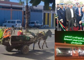 سوق الفواكه والخضر