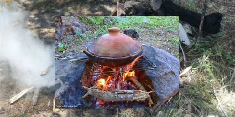 حفاظا على منتزه الغابة الدبلوماسية.. عُقوبات تلاحق كل من يشعل النار لطهي الطاجين