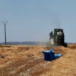 بداية موسم الحصاد