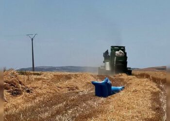 بداية موسم الحصاد