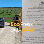 الوالي مهيدية