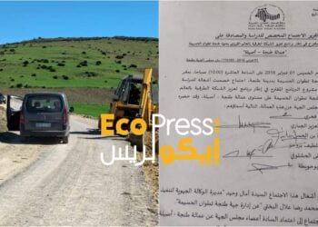 الوالي مهيدية