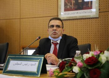 محمد الحمامي