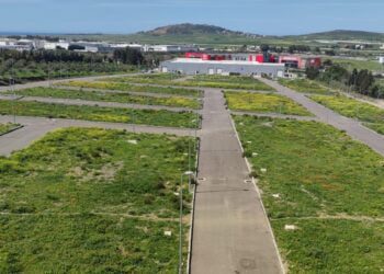 البقع الأرضية والعقارات المهنية