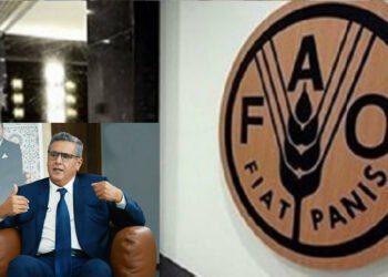 بيانات منظمة الفاو للزاراعة تفضح فشل أخنوش