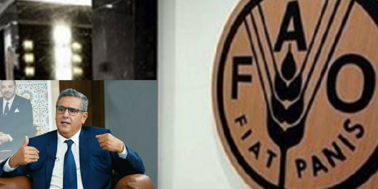 بيانات منظمة الفاو للزاراعة تفضح فشل أخنوش