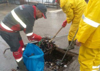 مصالح أمانديس