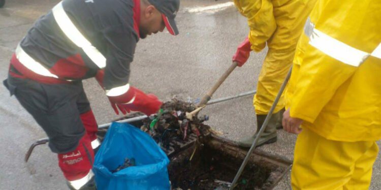 مصالح أمانديس