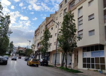 بناء و عقار