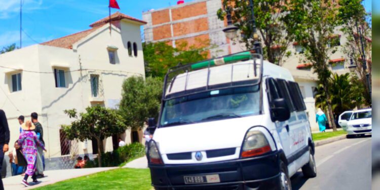 مسنانة ملحقة 7