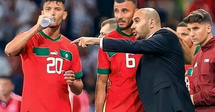 الفريق الوطني