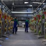 مصنعا جديدا في طنجة