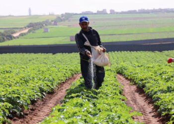 : دعم جديد للفلاحين