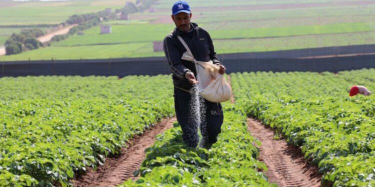 : دعم جديد للفلاحين