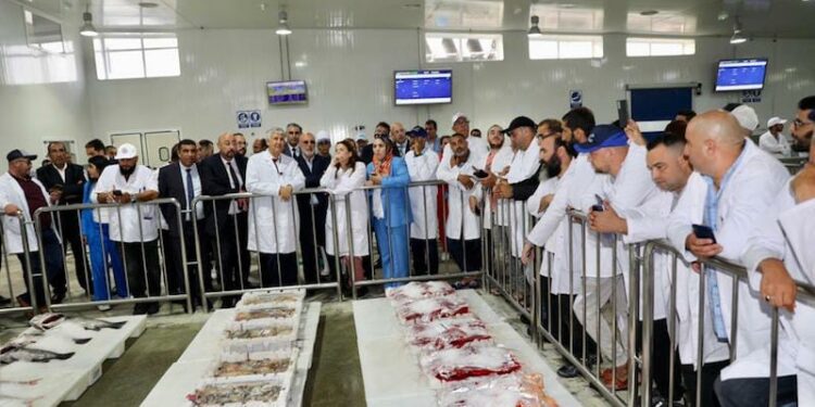 زيارة وزير الفلاحة والصيد البحري