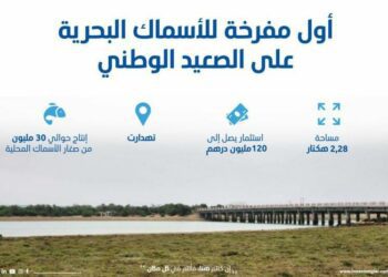 مشروع استثماري في الصيد البحري