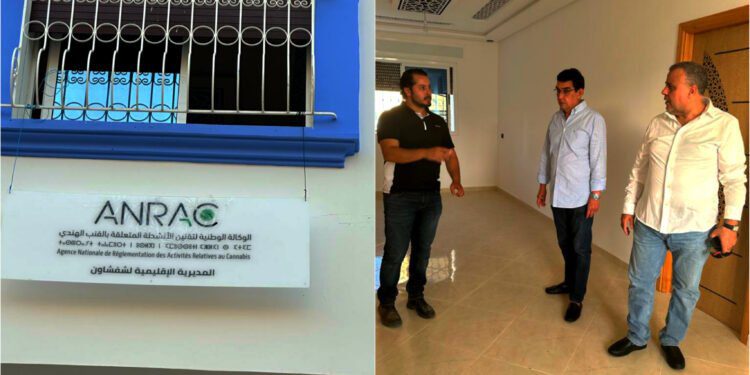 وكالة تقنين القنب الهندي بإقليم شفشاون