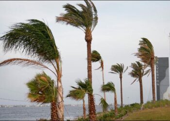 نشرة إنذارية