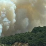 غابة الرميلات