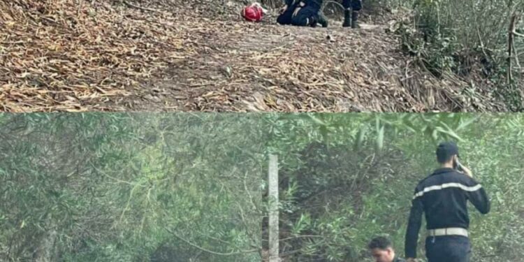 حريق الرميلات