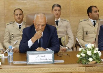 السيد الوالي