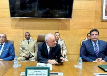 السيد الوالي