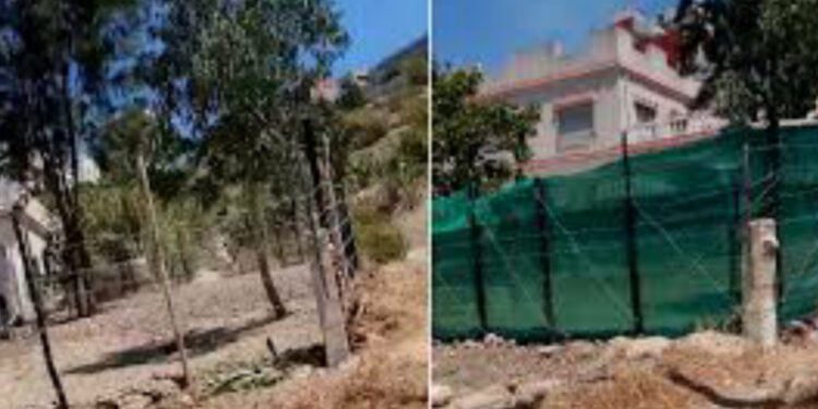 منطقة السانية