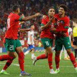 أسود الأطلس