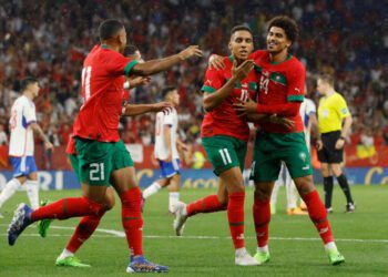 أسود الأطلس