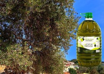 غلاء زيت الزيتون