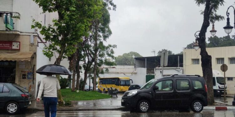 امطار بأبريا