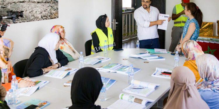 أنشطة الاجتماعية والتربوية والبيئية أمانديس