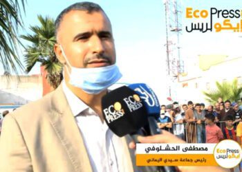 مصطفي الحشلوفي