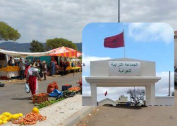 الجماعة الترابية العوامة