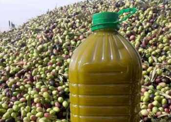 زيت الزيتون والزيتون