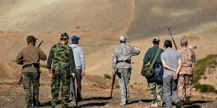 القنص البري