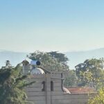 حركة الشباب الأخض