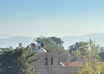 حركة الشباب الأخض