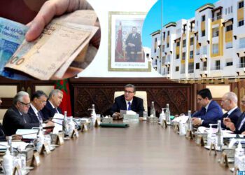 الحكومة وبرنامج الدعم المباشر