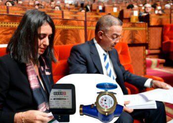 الماء والكهرباء برلمان