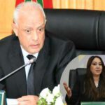 محمد امهيدية