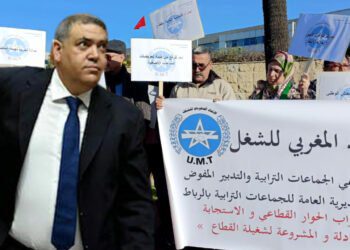 احتجاجات المنظمة الديمقراطية