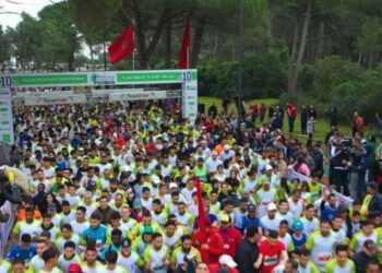 سباق الغابة الدبلوماسية الدولي