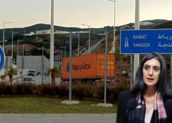 وزيرة المالية بمجلس النواب