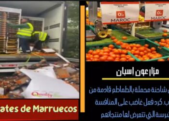 مزارعون إسبان يتعرضون لشاحنة طماطم مغربية