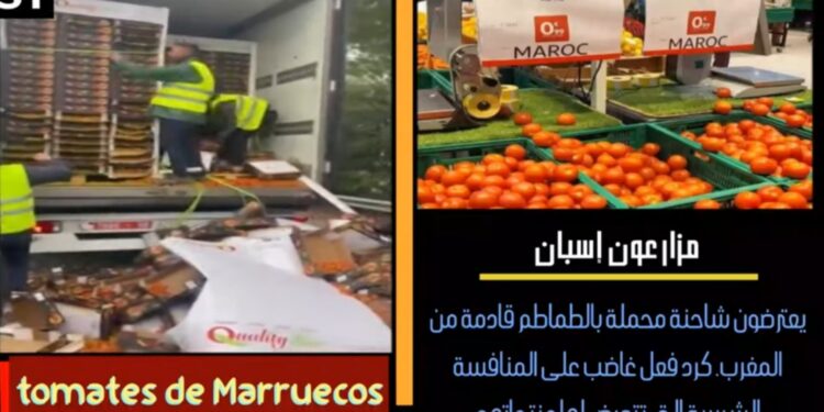 مزارعون إسبان يتعرضون لشاحنة طماطم مغربية