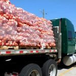 استيراد الخضروات من المغرب