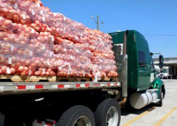 استيراد الخضروات من المغرب