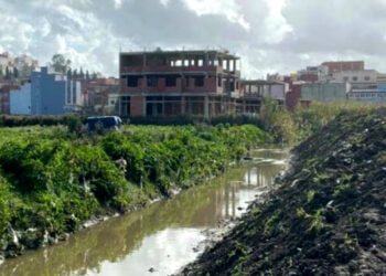 الأحياء الناقصة التجهيز