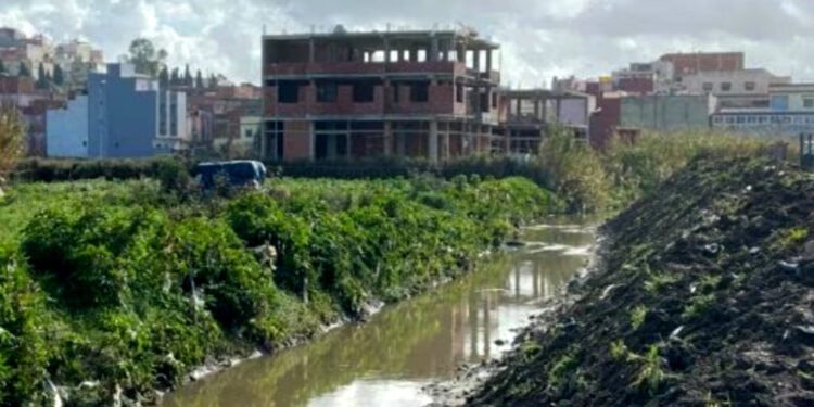 الأحياء الناقصة التجهيز